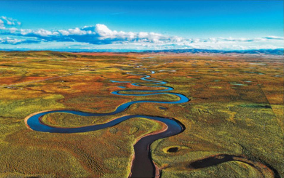 1591146594168163.jpg 53.jpg